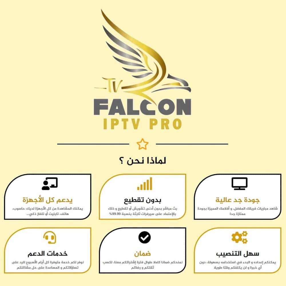 FALCON TV PRO - اشتراك فالكون لمدة سنة مستخدمين 2 3 FALCON TV PRO - اشتراك فالكون لمدة سنة مستخدمين 2 - الصورة 3